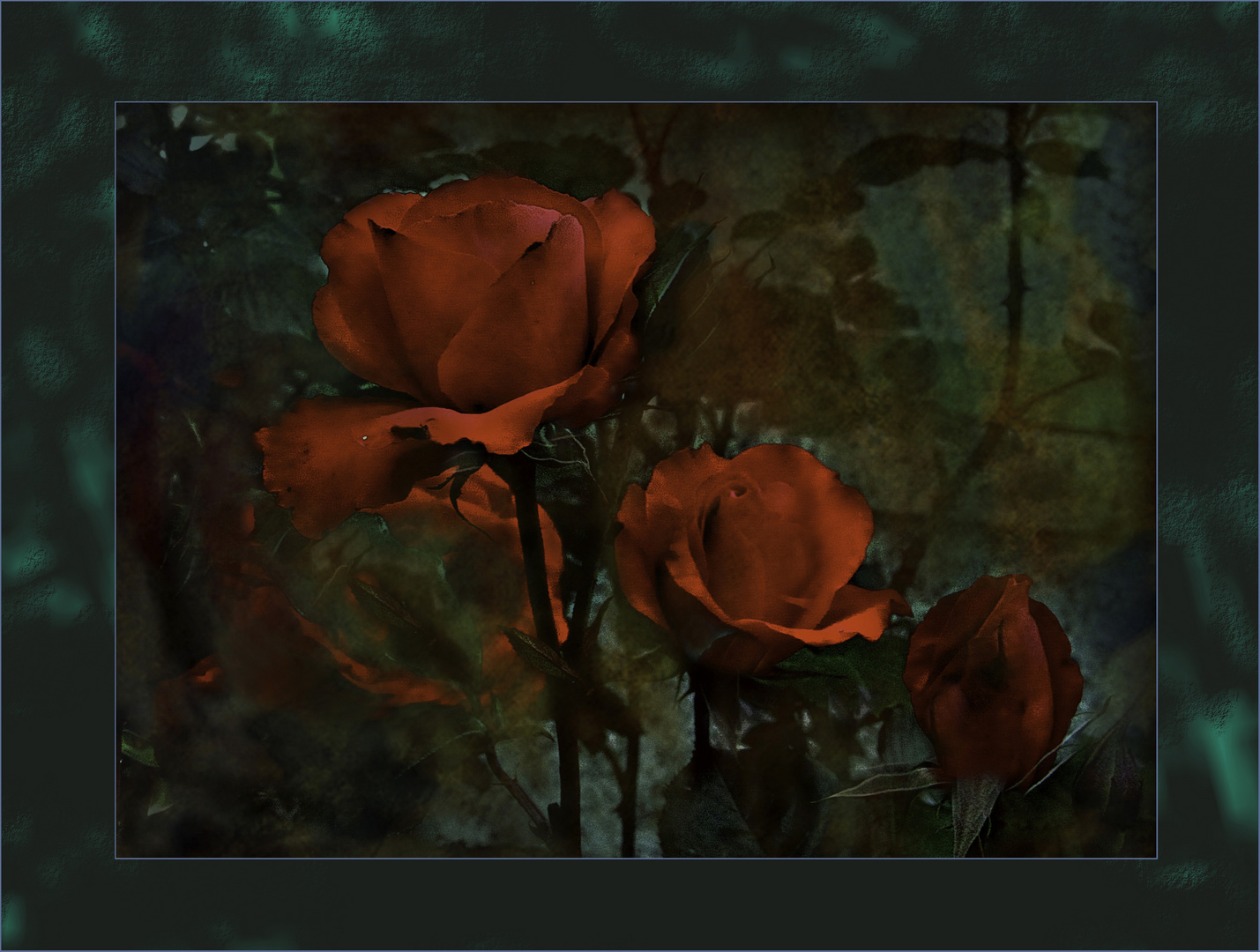 Nocturno Nocturne Foto & Bild stillleben , natur, pflanzen Bilder auf