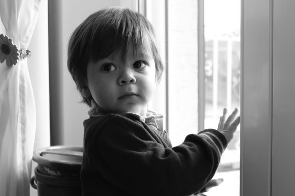 Noé, à la fenêtre...