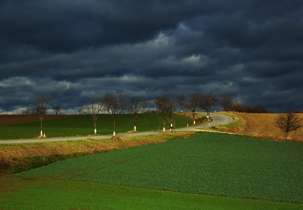 NÖ - kurz vor dem Sturm....