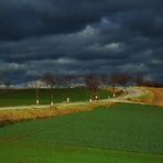 NÖ - kurz vor dem Sturm....