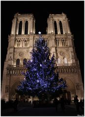 Noël à Notre-Dame de Paris