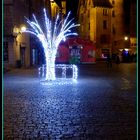 NOEL à SARLAT -9 - -