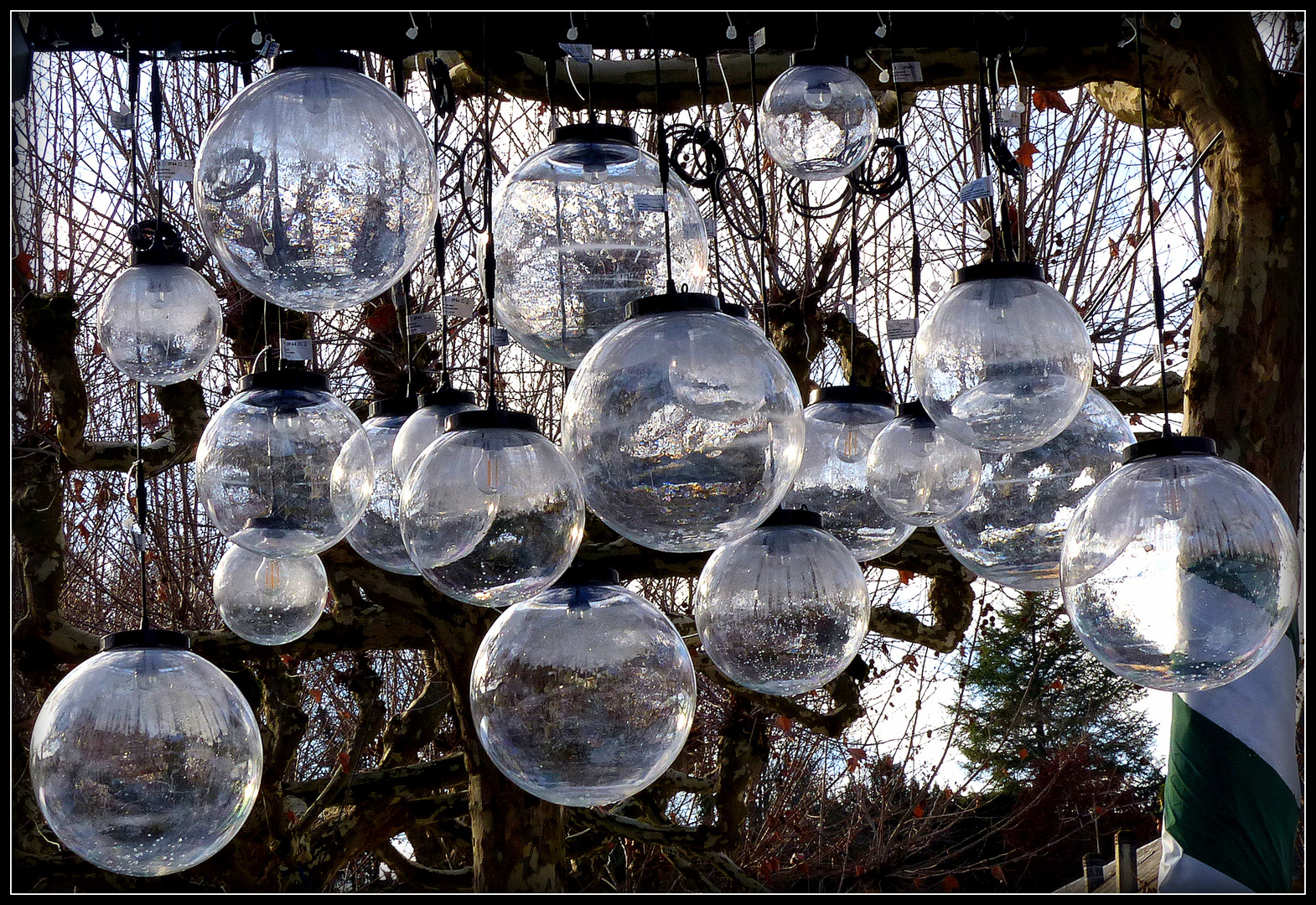 Noël à Sarlat 