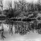 Noël dans le Grand Ried blanc et noir