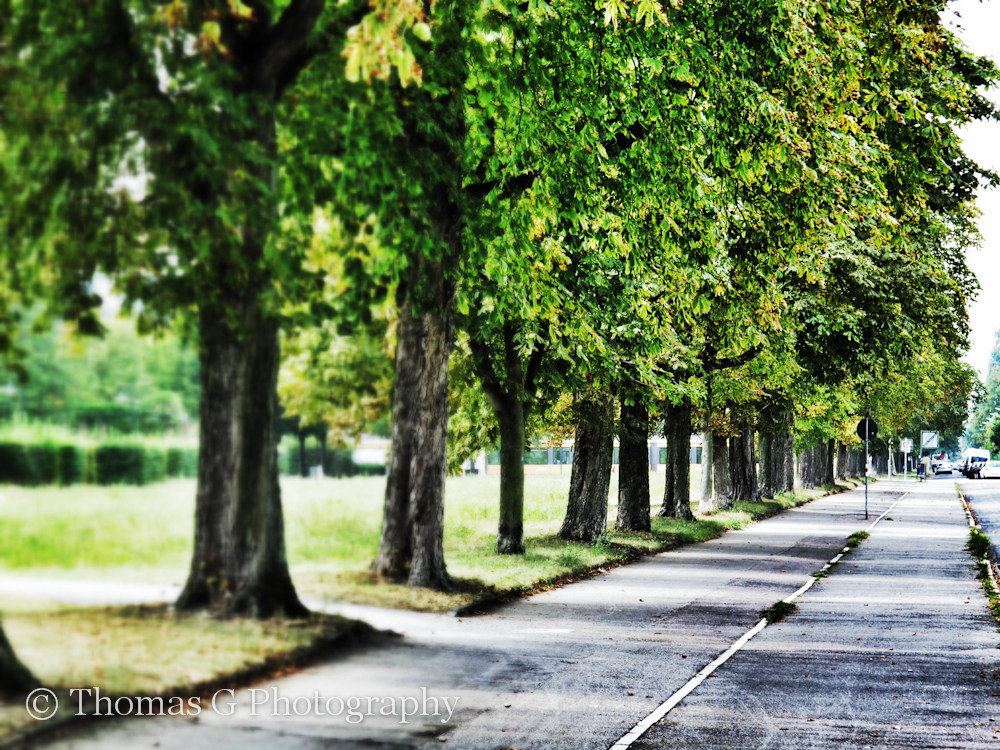 Nördliche Hildapromenade