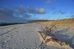 Nördliche Insel Hiddensee 