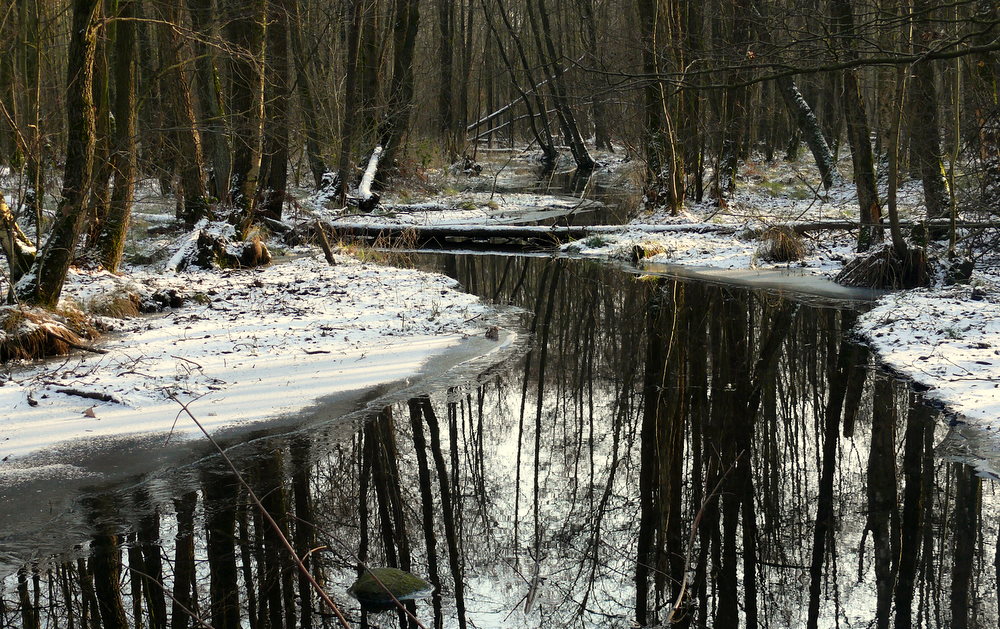 Nördliche Winterimpression