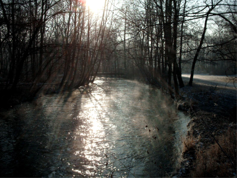 nördlicher Englischer Garten