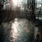 nördlicher Englischer Garten