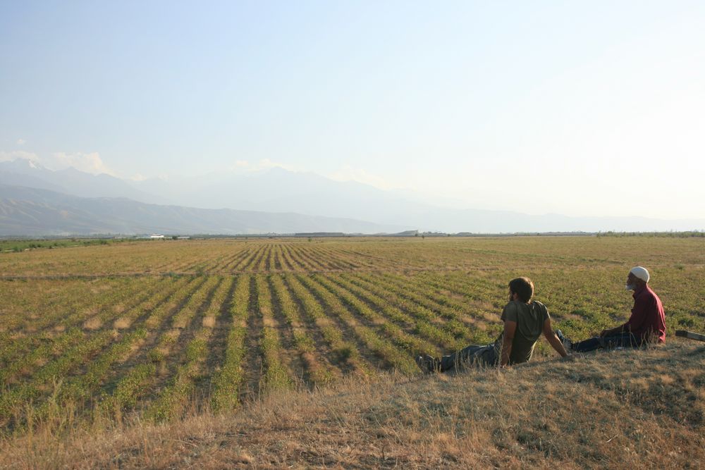 nördlicher Tien-Shan