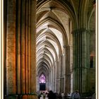 Nördliches Seitenschiff. Kathedrale von Amiens