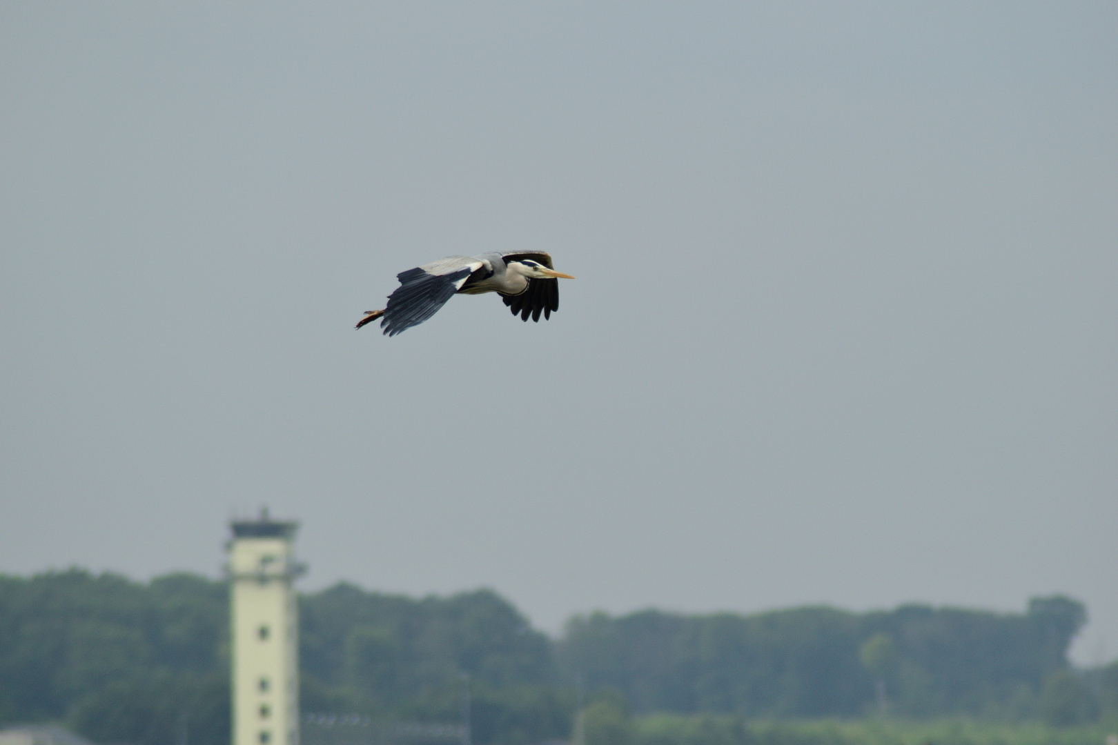 Nörvenich tower request to cross Runway