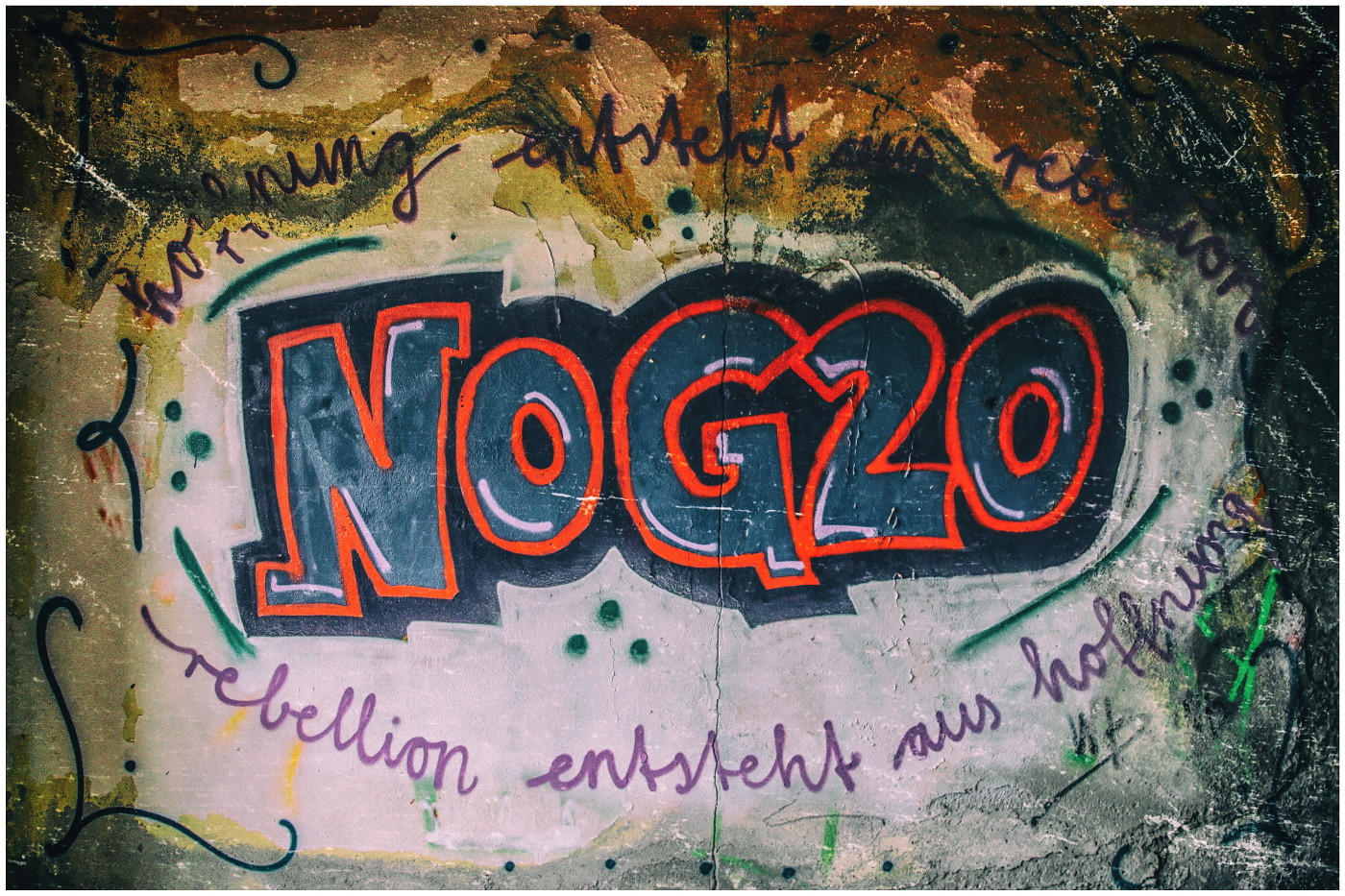 NOG20