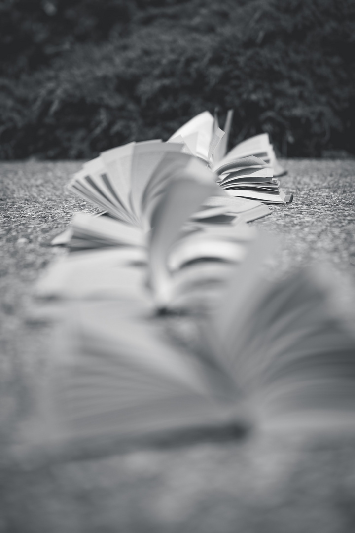 ...Noi che abbiamo l’animamoriamo più spesso. Foto Immagini still life, dettagli e