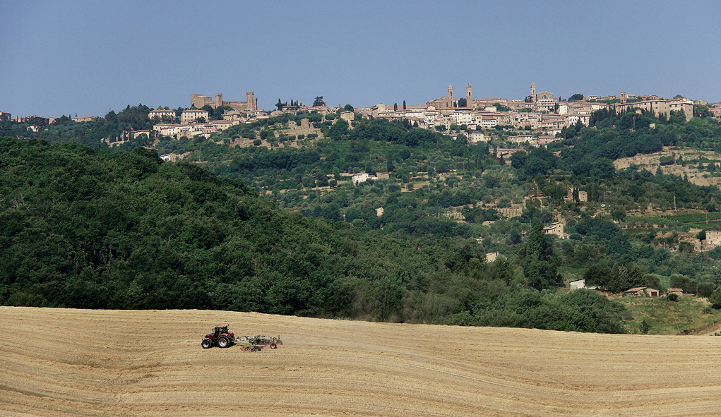 NOI STEMMO DI VEDETTA