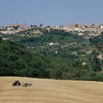 NOI STEMMO DI VEDETTA