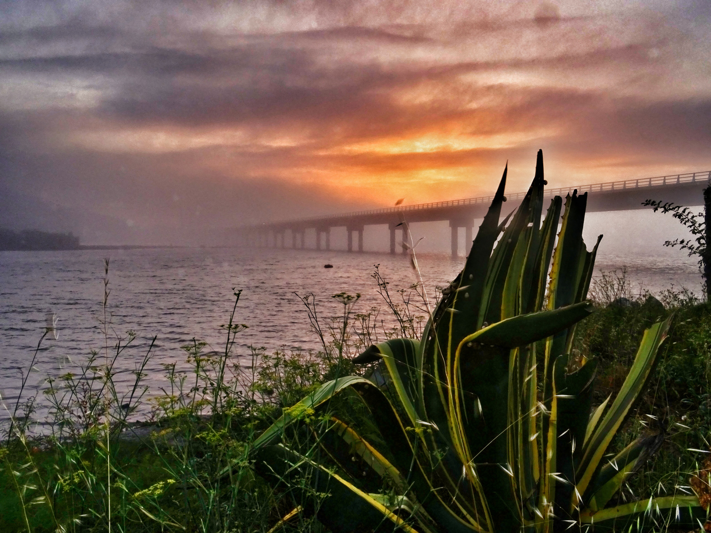 Noia Brücke im Nebel 1