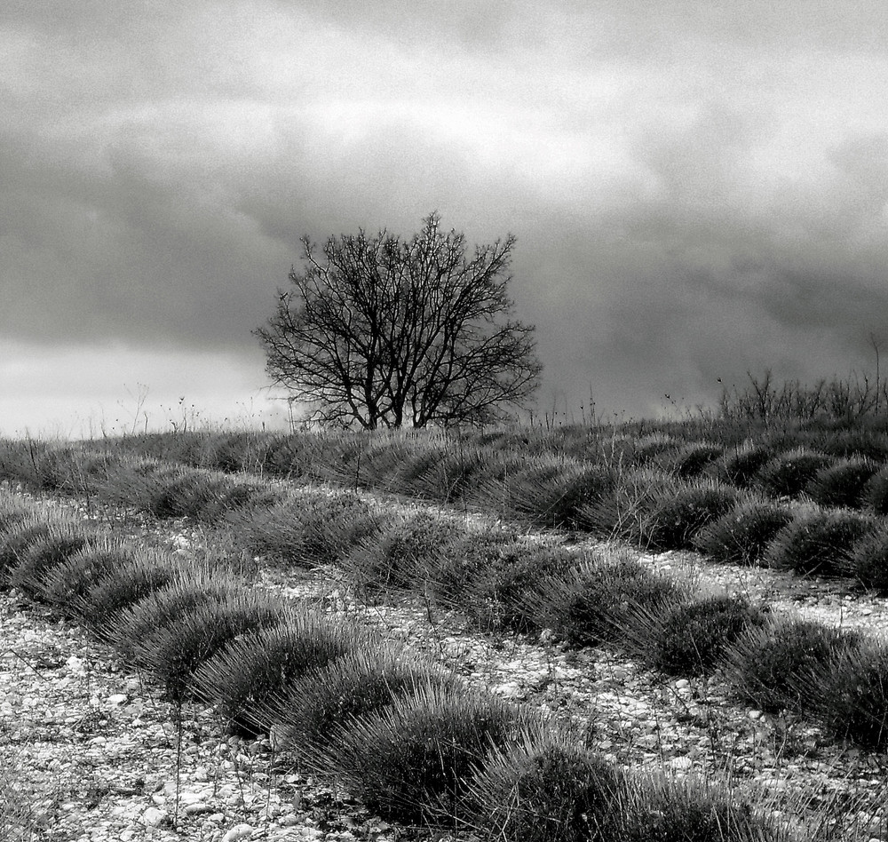 Noir et blanc