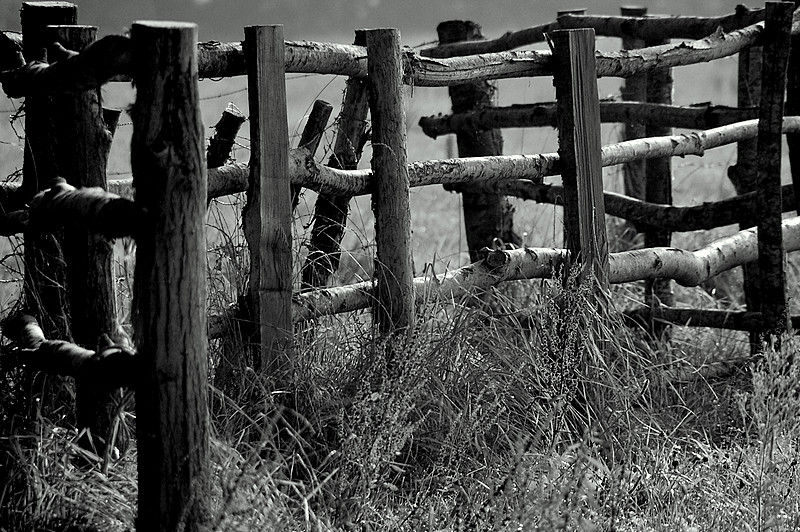 Noir et blanc tout simplement !