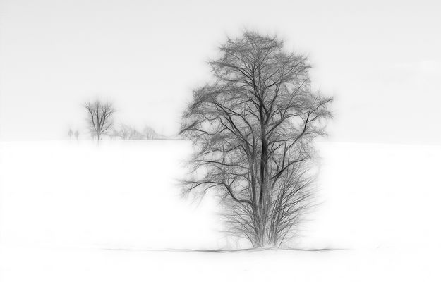 Noir sur blanc / Schwarz auf Weiß