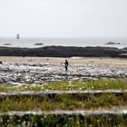 noirmoutiers en île 