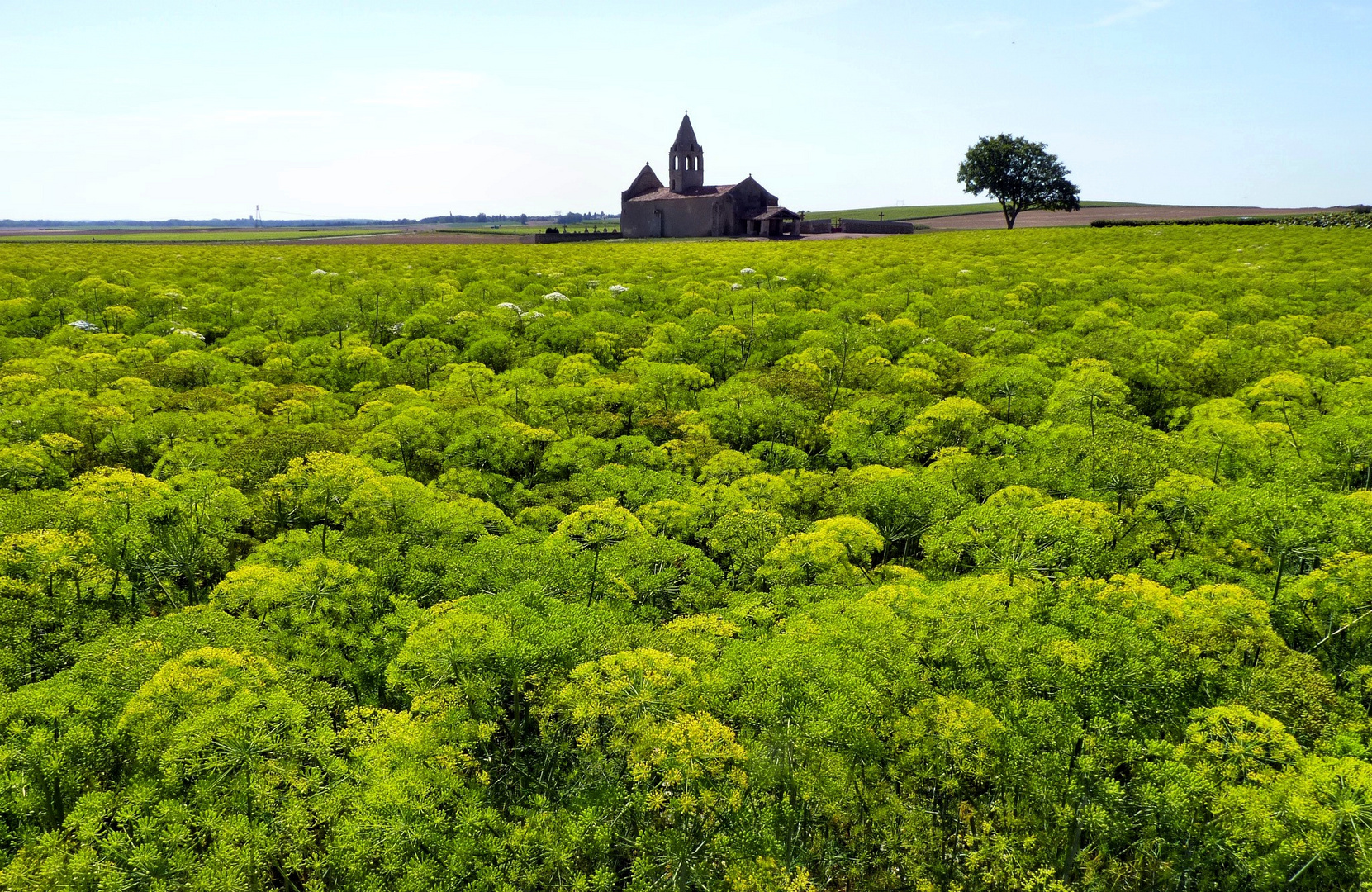 Noizé - Saint-Martin-les-Baillargeaux