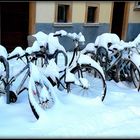 NOËL à STRASBOURG -5 -  