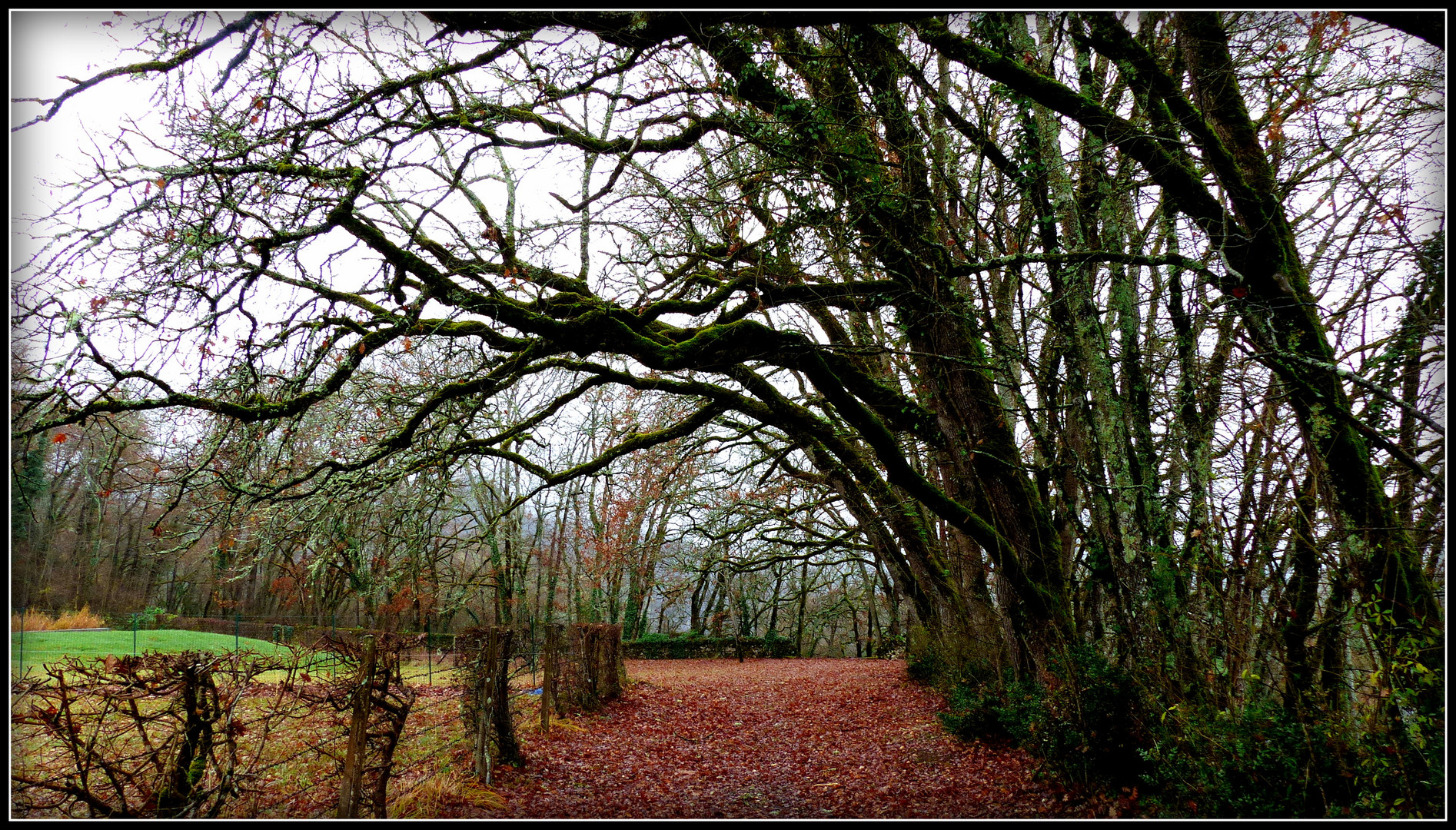 NOËL - en - PERIGORD -2016 - 15 -