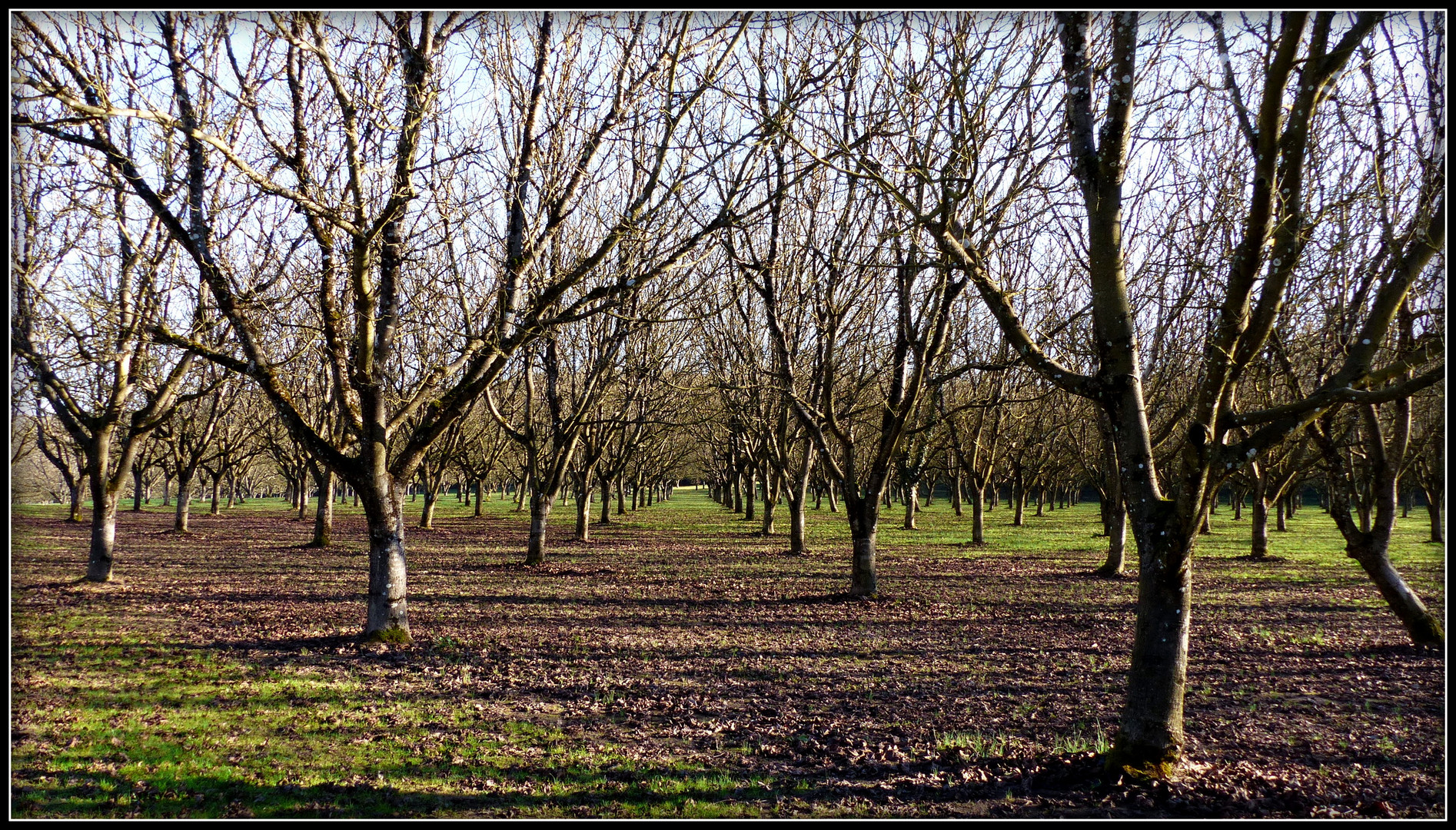 NOËL - en - PERIGORD - 2016 - 41 - 