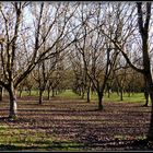 NOËL - en - PERIGORD - 2016 - 41 - 