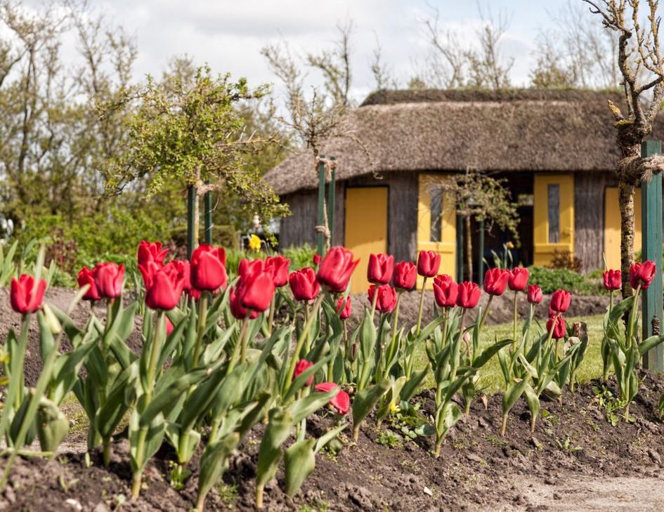 Noldes Garten im April