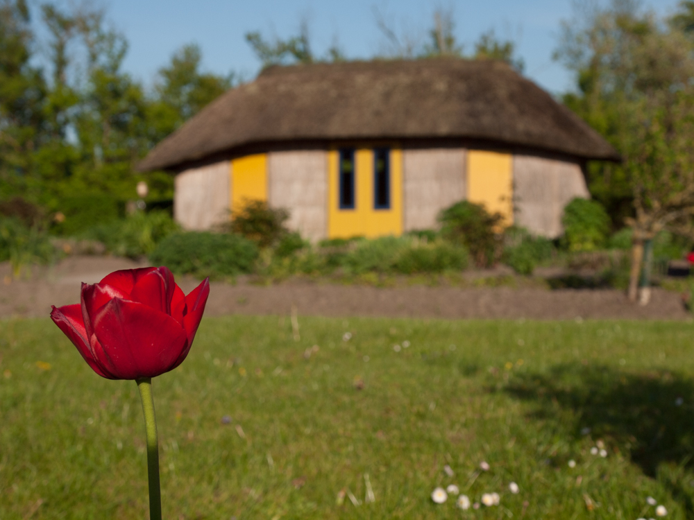 Noldes Garten im Mai