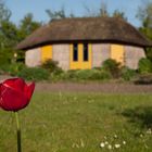 Noldes Garten im Mai