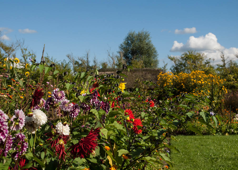 Noldes Garten im September