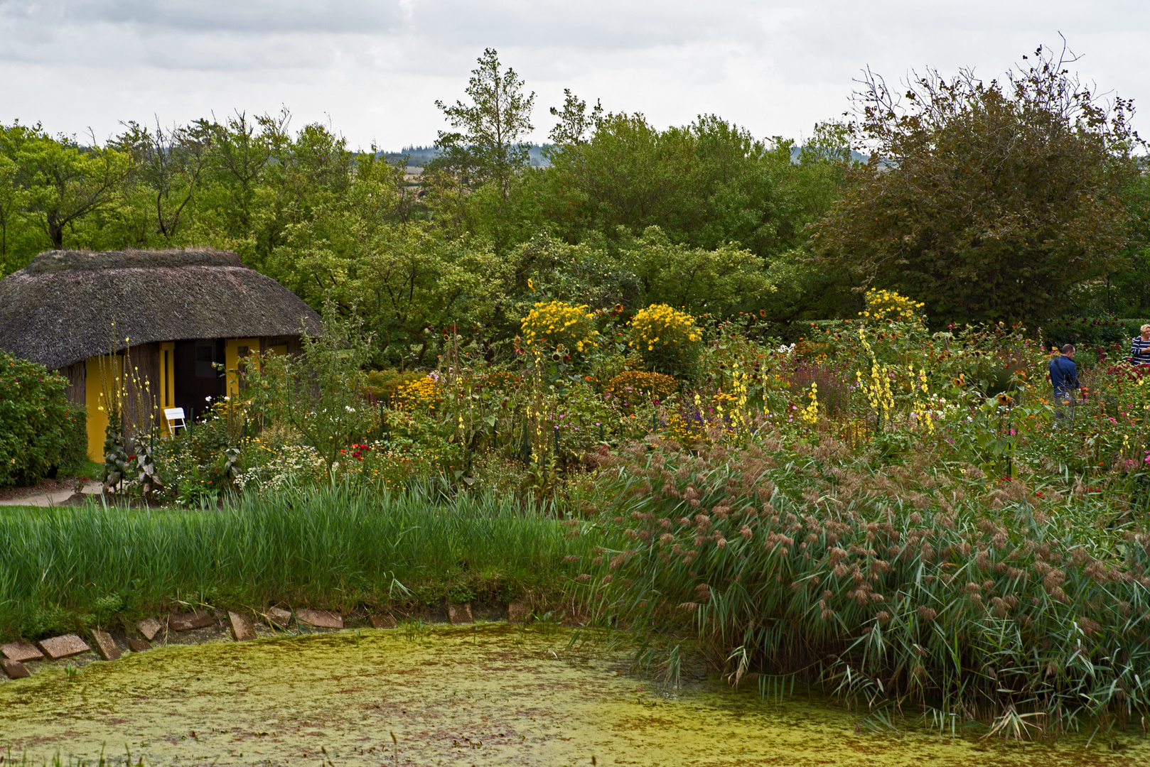 Noldes Garten in Seebüll