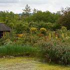 Noldes Garten in Seebüll