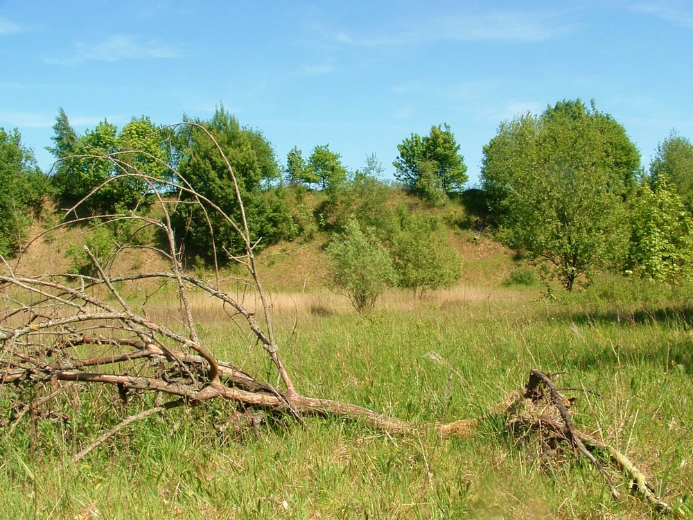 Nollbrink - Berghausen