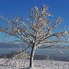 Nollendorfer Höhe (Naklerov vysina) heute Morgen und Winter "pur" ...