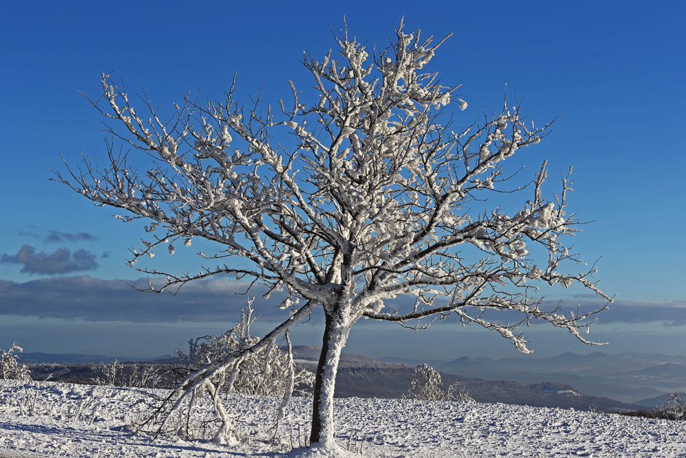 Nollendorfer Höhe (Naklerov vysina) heute Morgen und Winter "pur" ...