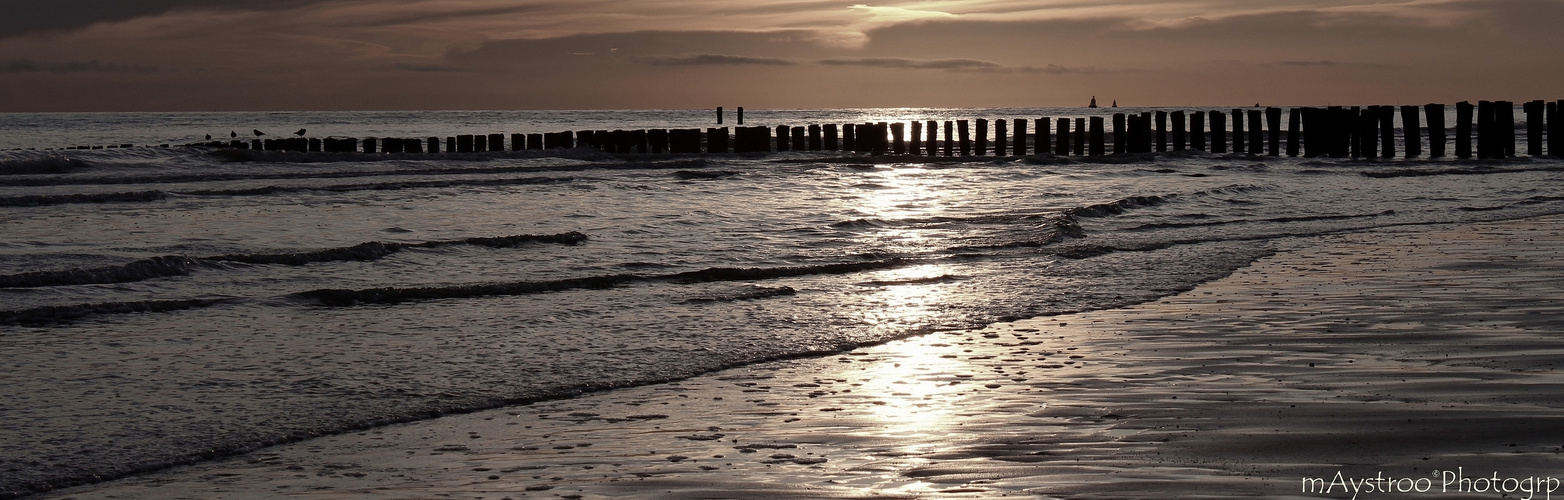 nollestrand vlissingen