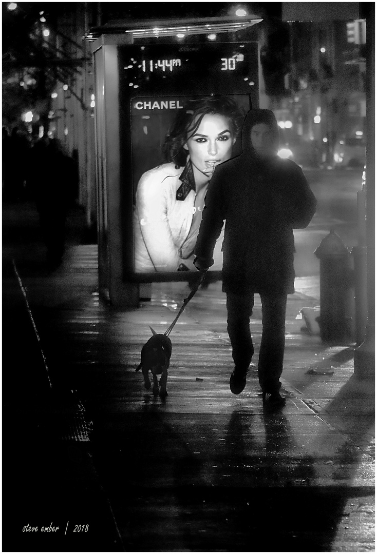 NoMad Nuit -  Chanel et Chien