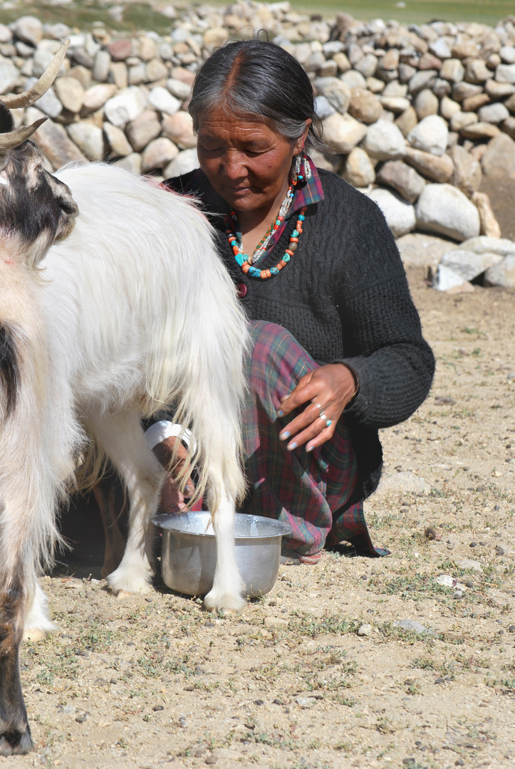 Nomad woman, Tsomoriri, Ladakh