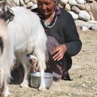 Nomad woman, Tsomoriri, Ladakh