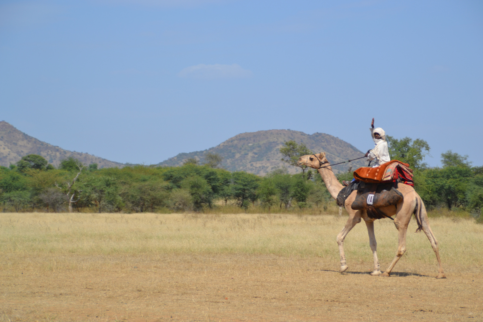 Nomade auf Kamel