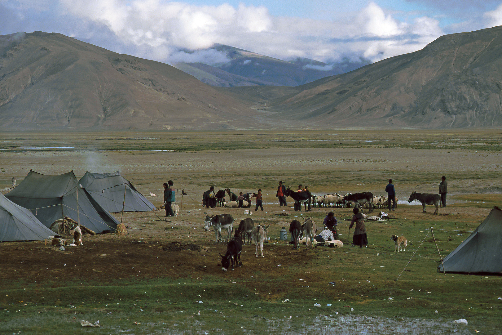 Nomaden im tibetischen Hochland