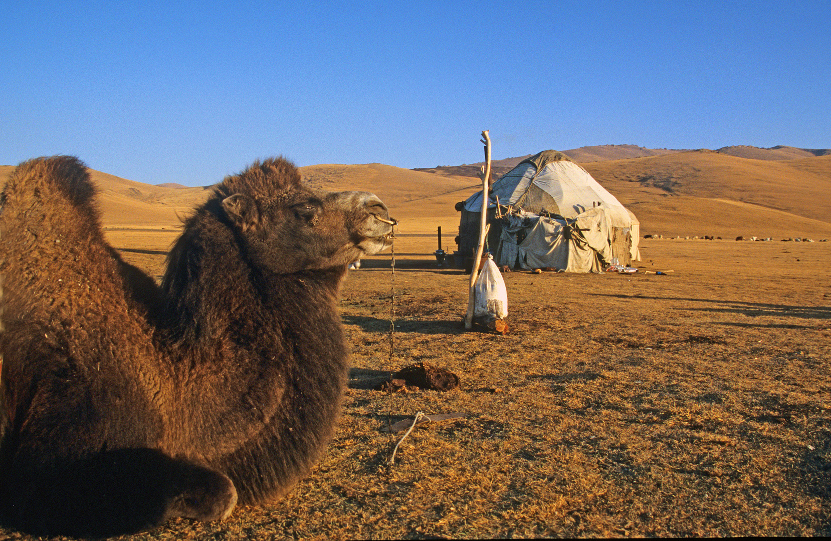 Nomadenlager am See Son kul, Kirgistan