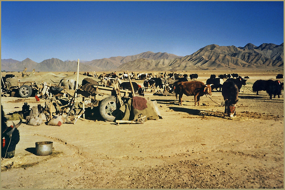 Nomadenrast, Überland irgendwo hinter Shigatse, Tibet