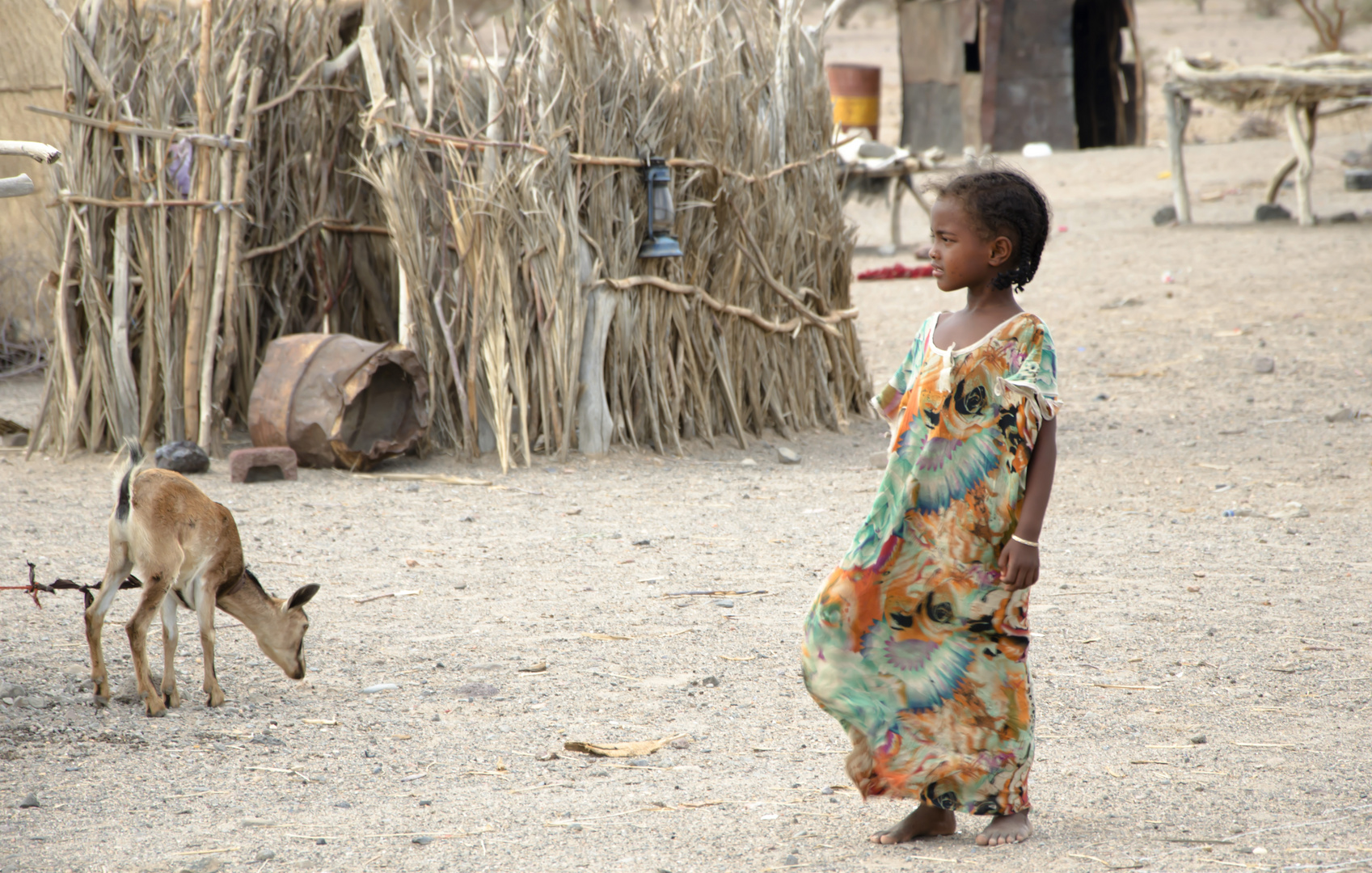 Nomades Afars sud Djibouti.