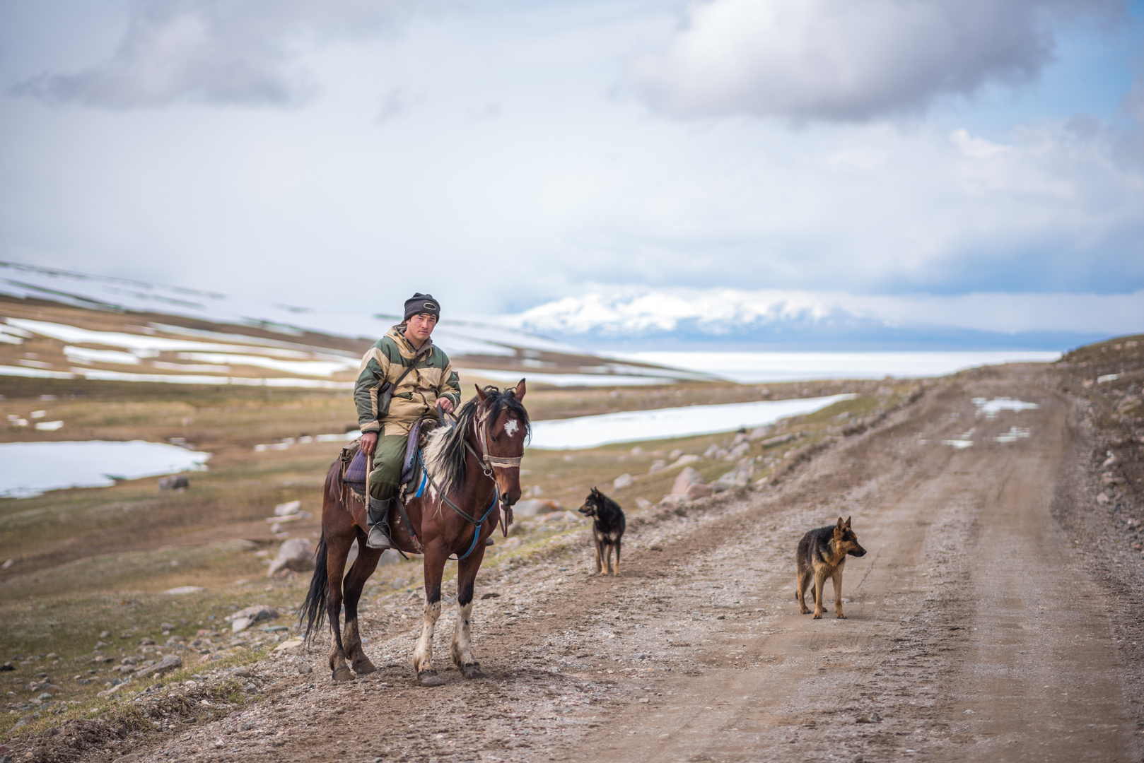 Nomadischer Reiter mit Hunden