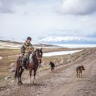 Nomadischer Reiter mit Hunden